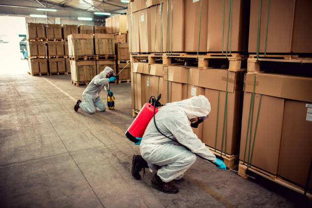 Best Termite Control Services  in Antigo, WI