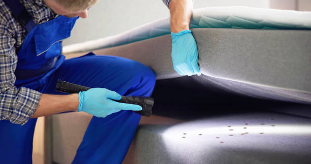 Best Commercial Pest Control Services  in Antigo, WI